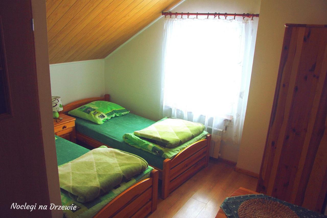 Noclegi Na Drzewie Cisna Exterior foto